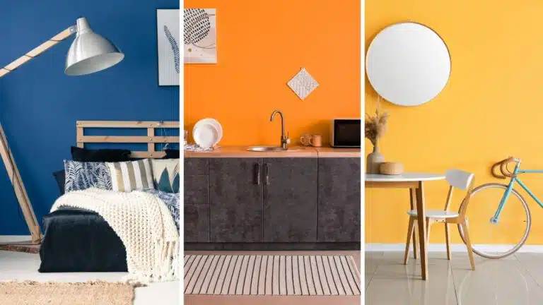 Traga Mais Cor para Este Inverno com as Cores do Ano 2025